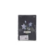 Zeszyt Interdruk HYBRID FLORI A5 80k. 70g krata