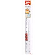 Linijka GPPS PIONIER przeźroczysta 30cm Strigo (EG00312)