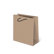 Torba prezentowa Paw Szara [mm:] 200x240x 110 (P-N)
