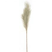 Kwiaty Trawa pampasowa 77cm naturalna Home And Garden (9925)